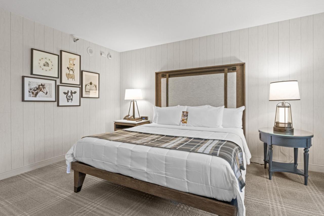בואנה פארק Knott'S Hotel מראה חיצוני תמונה